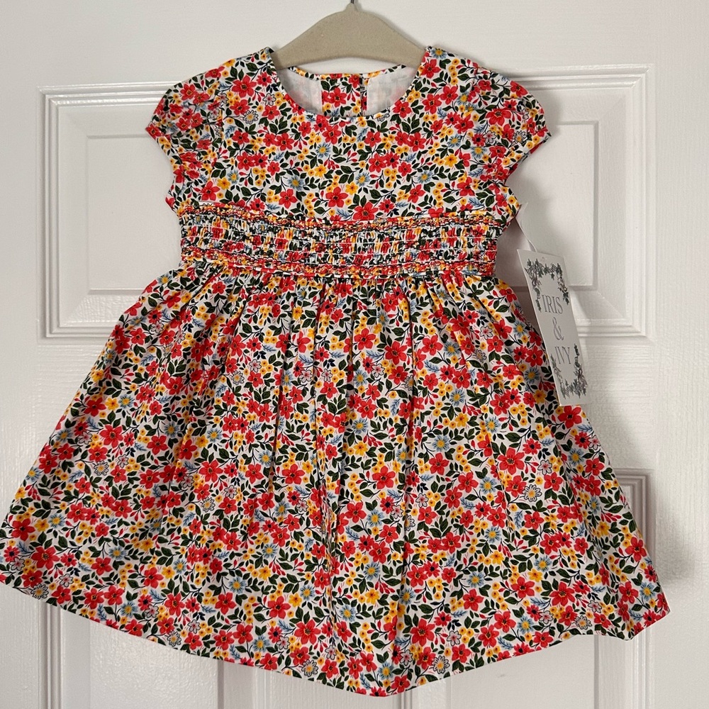 NWT Iris & Ivy dress